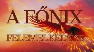 A Főnix Felemelkedése