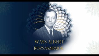 Rózsaszirmok