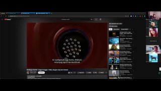 A Mindenség Szövete - Elsődleges Mezők MagyarÁzat 1.0